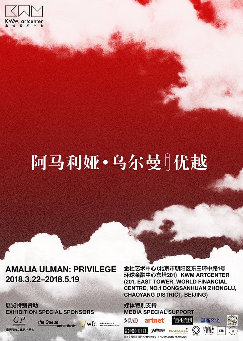 Amalia Ulman: Privilege