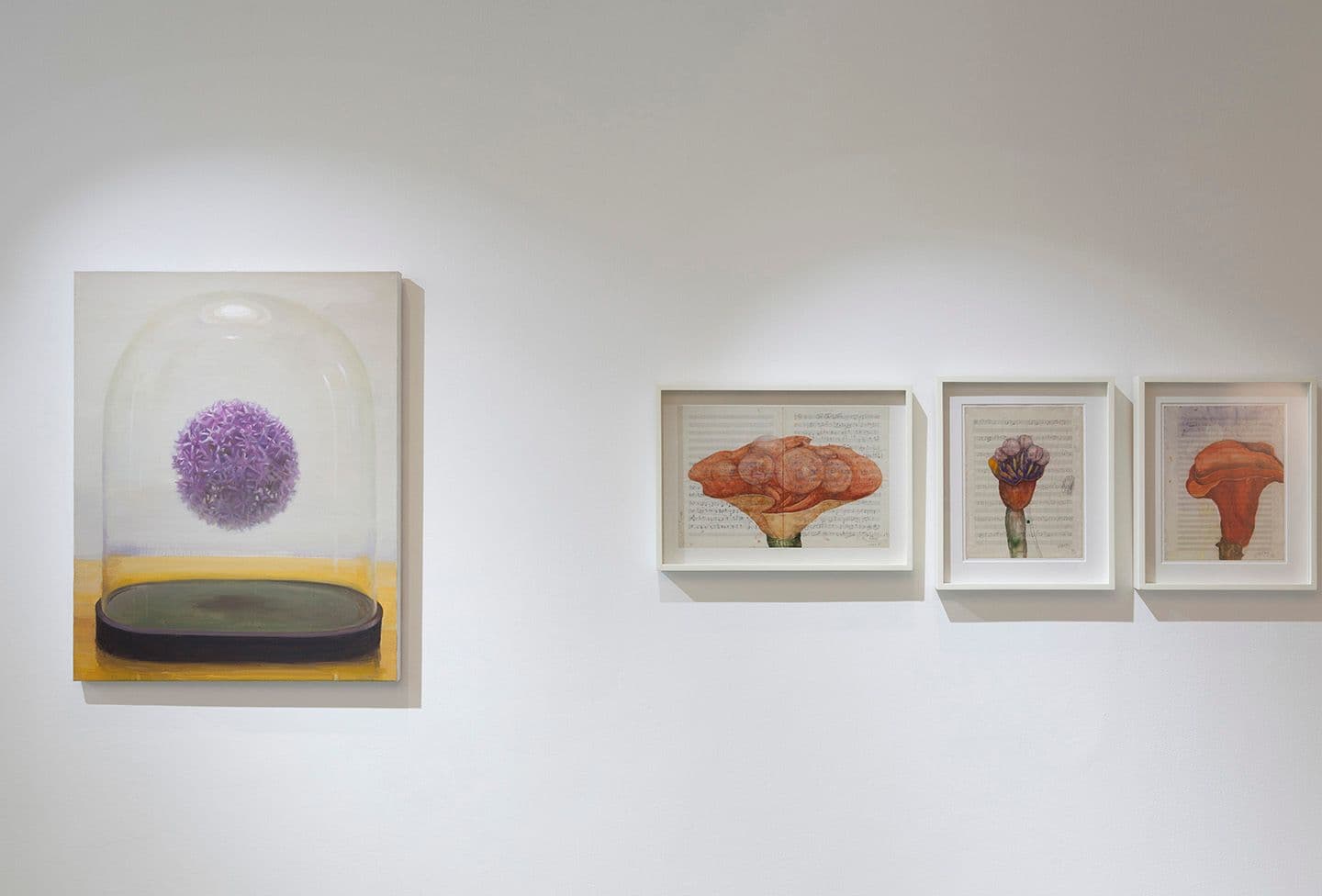 Plants, Balloons and Bell Jars