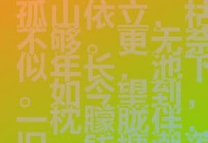 The Post Southern Song Dynasty - 1