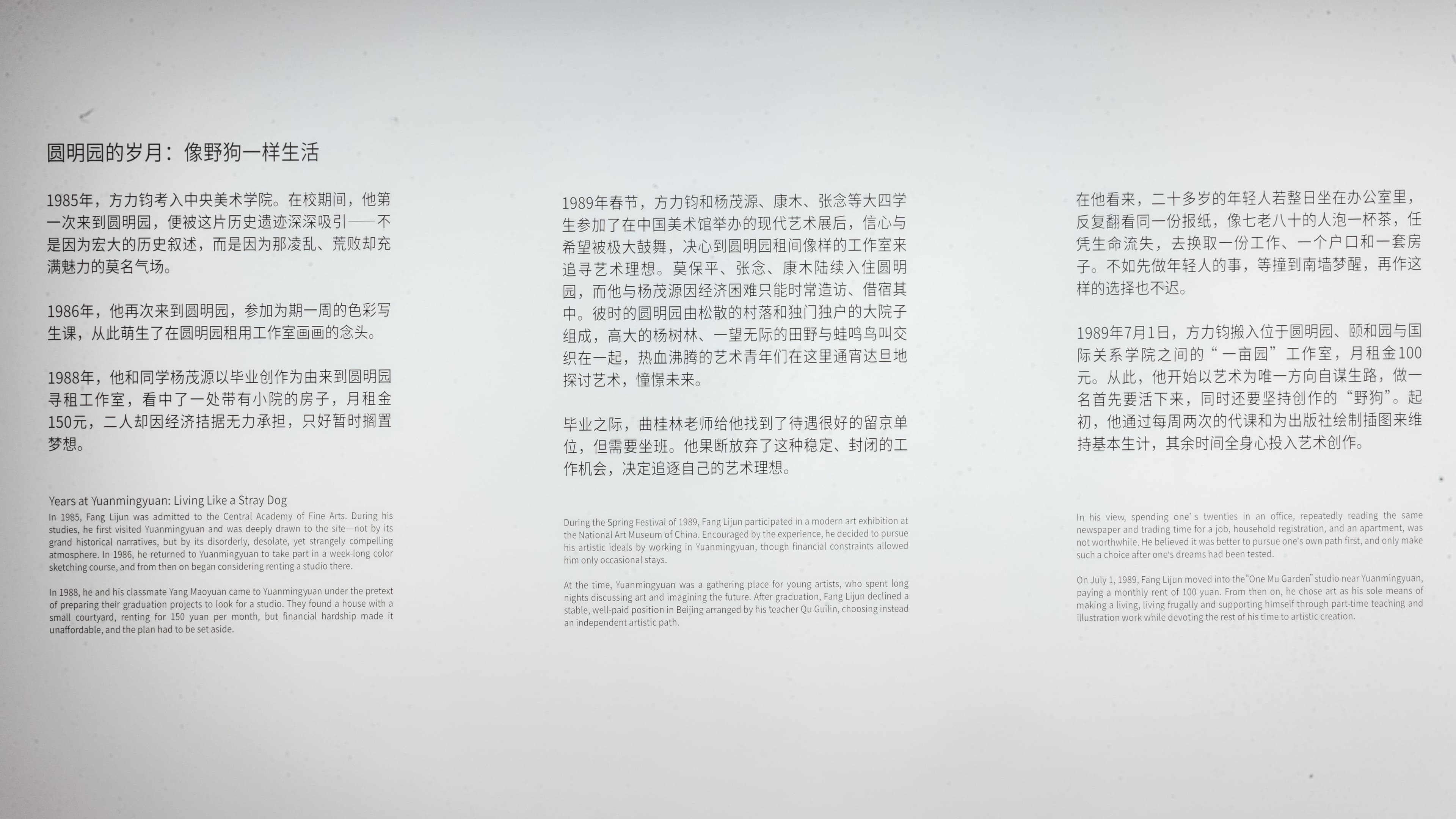方力钧「敏锐时光 - 如何成为“垃圾艺术家”」 - 16