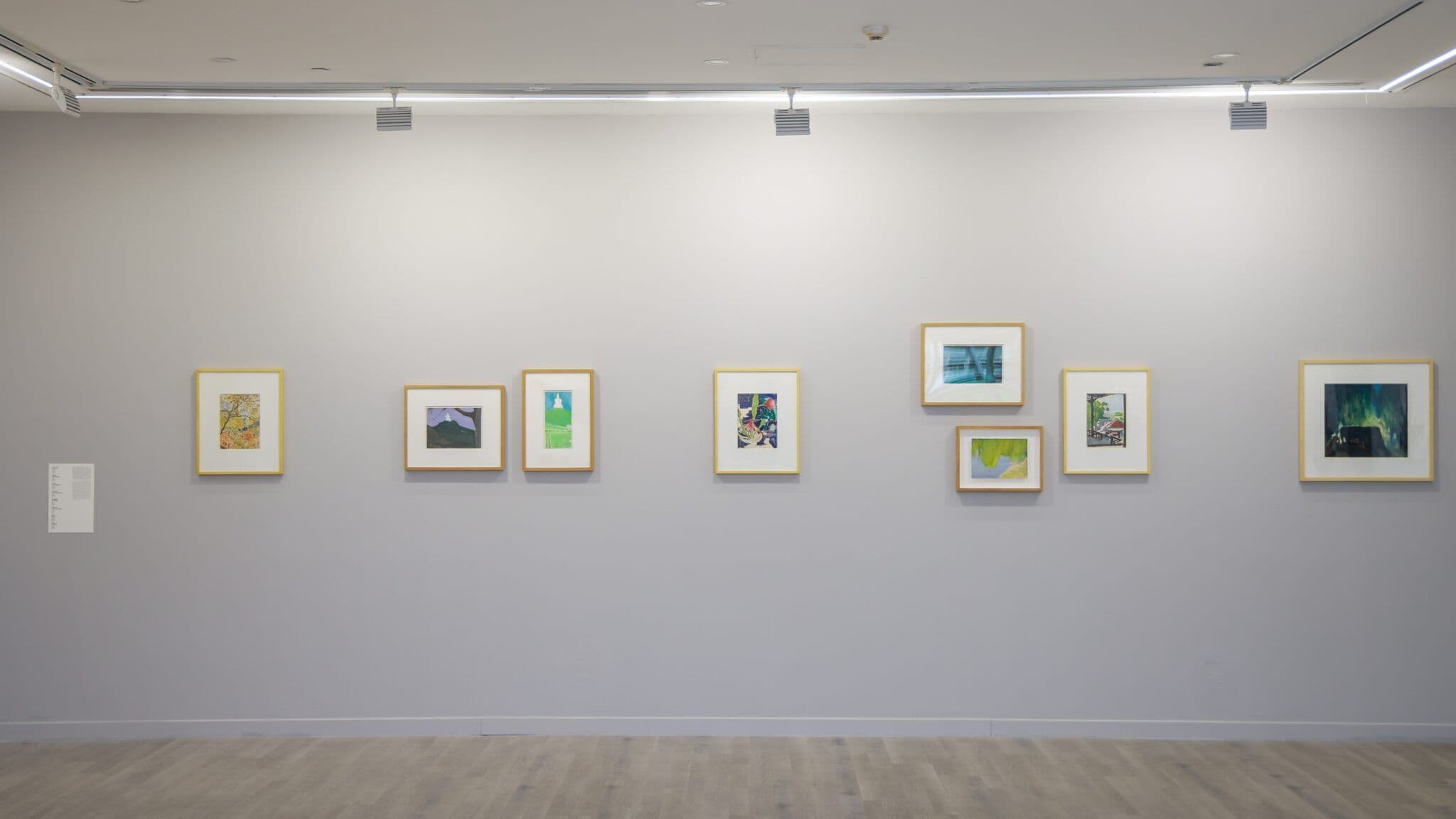 Zhang Wei: Afterglow - 9